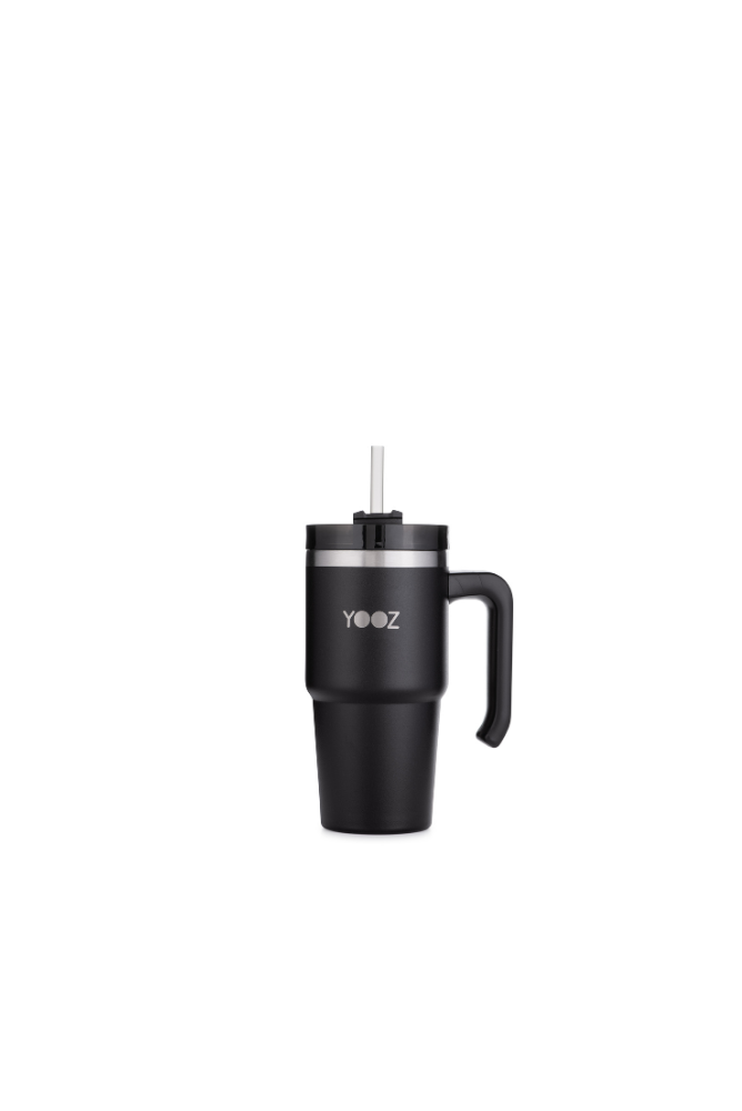 Thermal Travel Tumbler with Handle and Straw Lid