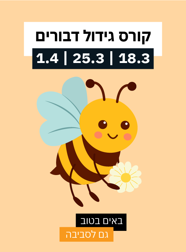 קורס דבוראות