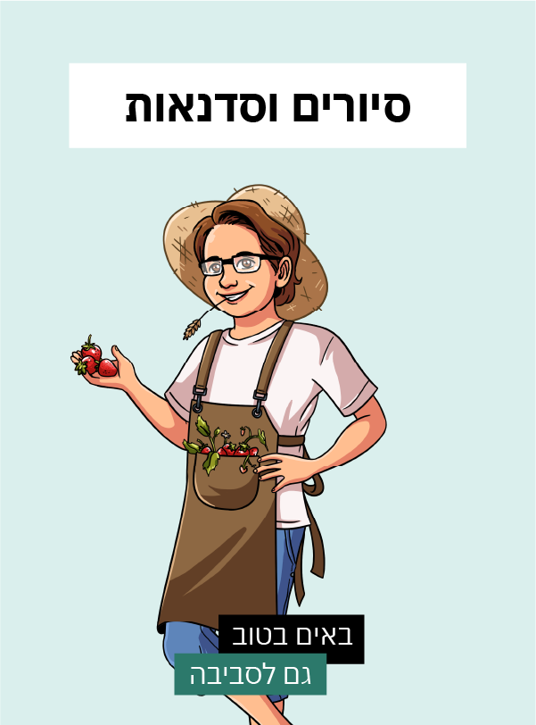 סיורים וסדנאות