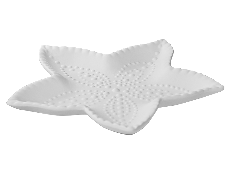 Starfish Dish