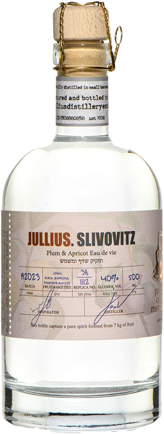 סליבוביץ - יוליוס