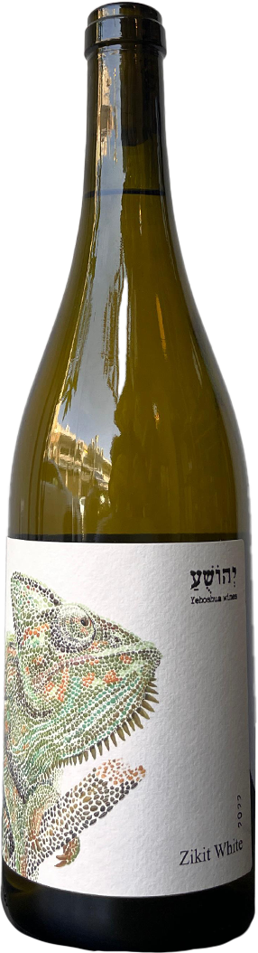 זיקית לבן - יהושע