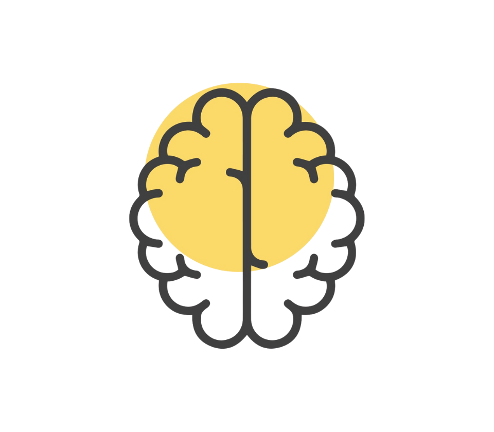 Cognitive Development