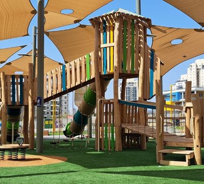 Black Locust Playground