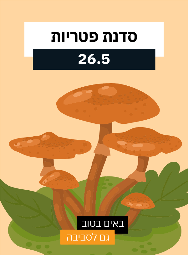 סדנת פטריות