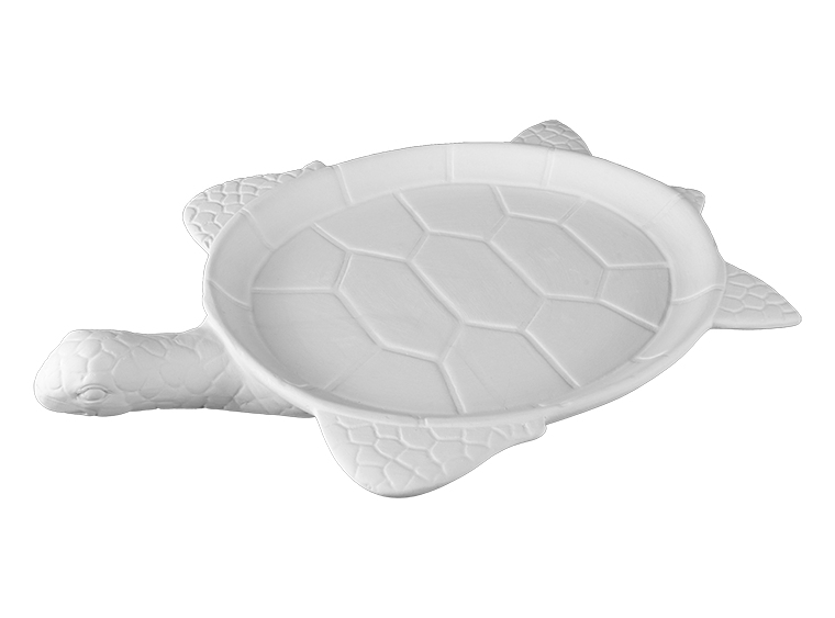 Sea Turtle Server
