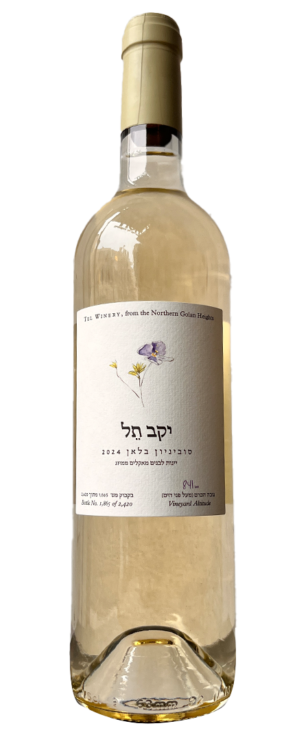 סוביניון בלאן - יקב תל