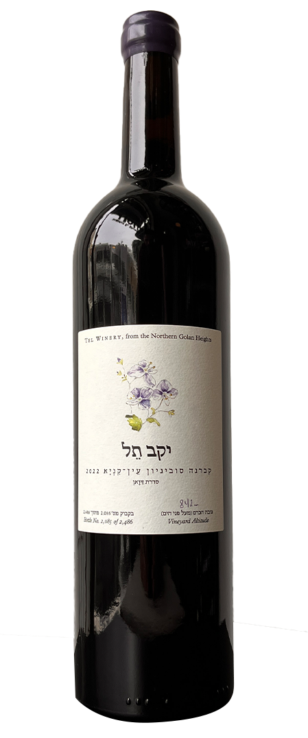 קברנה עין קניא - תל