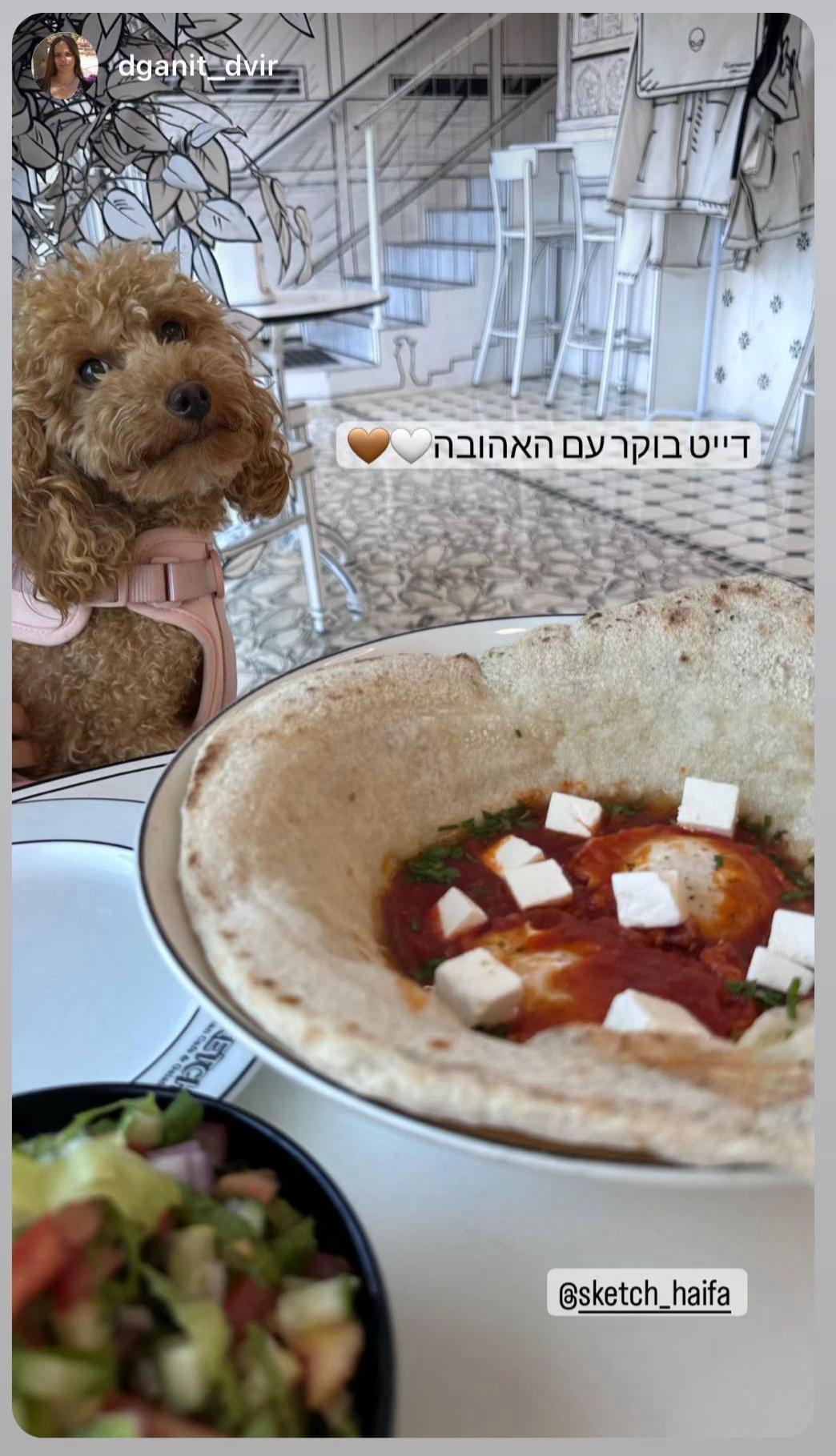 גלריית תמונות-161