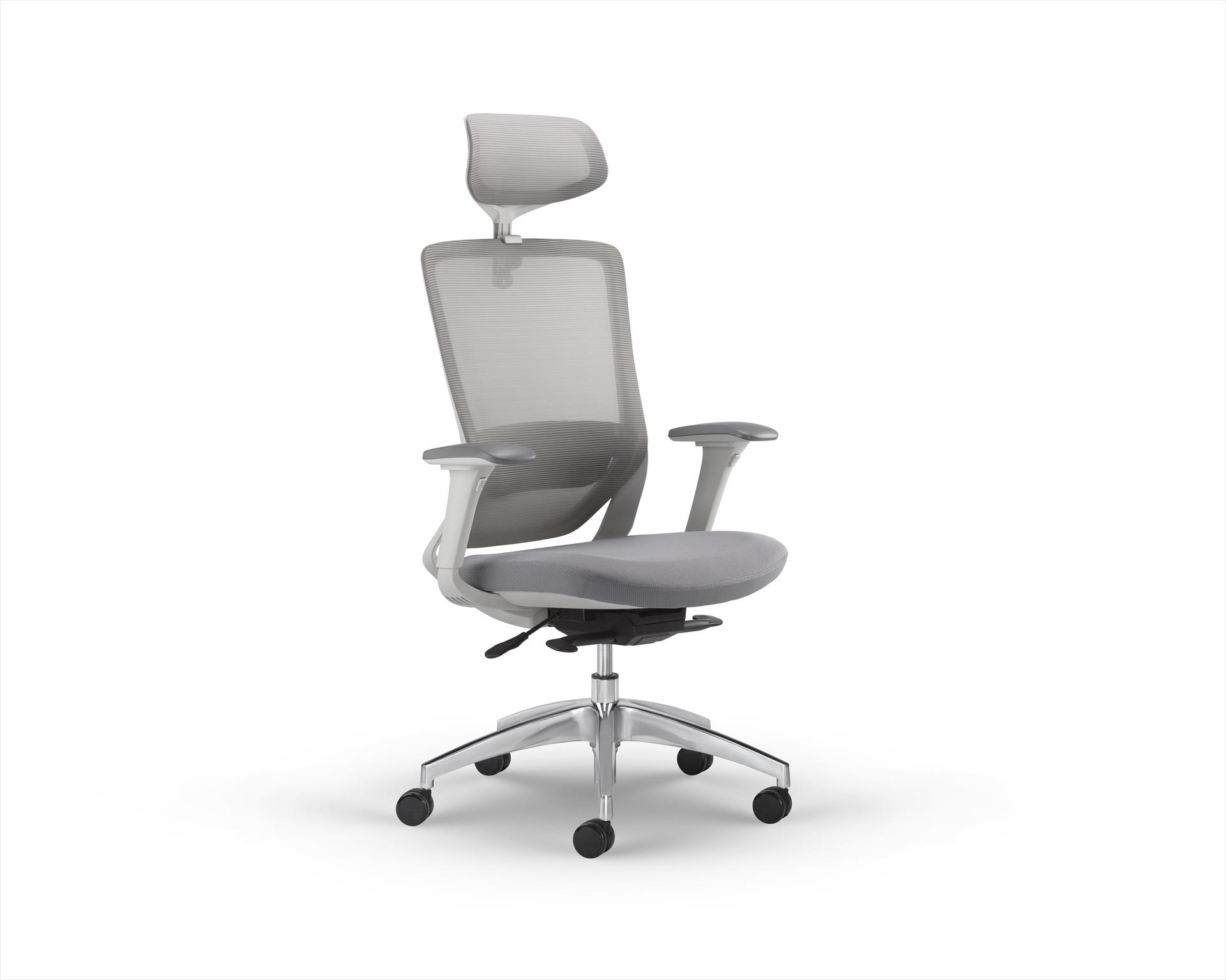 כיסא ארגונומי Beyond Chair