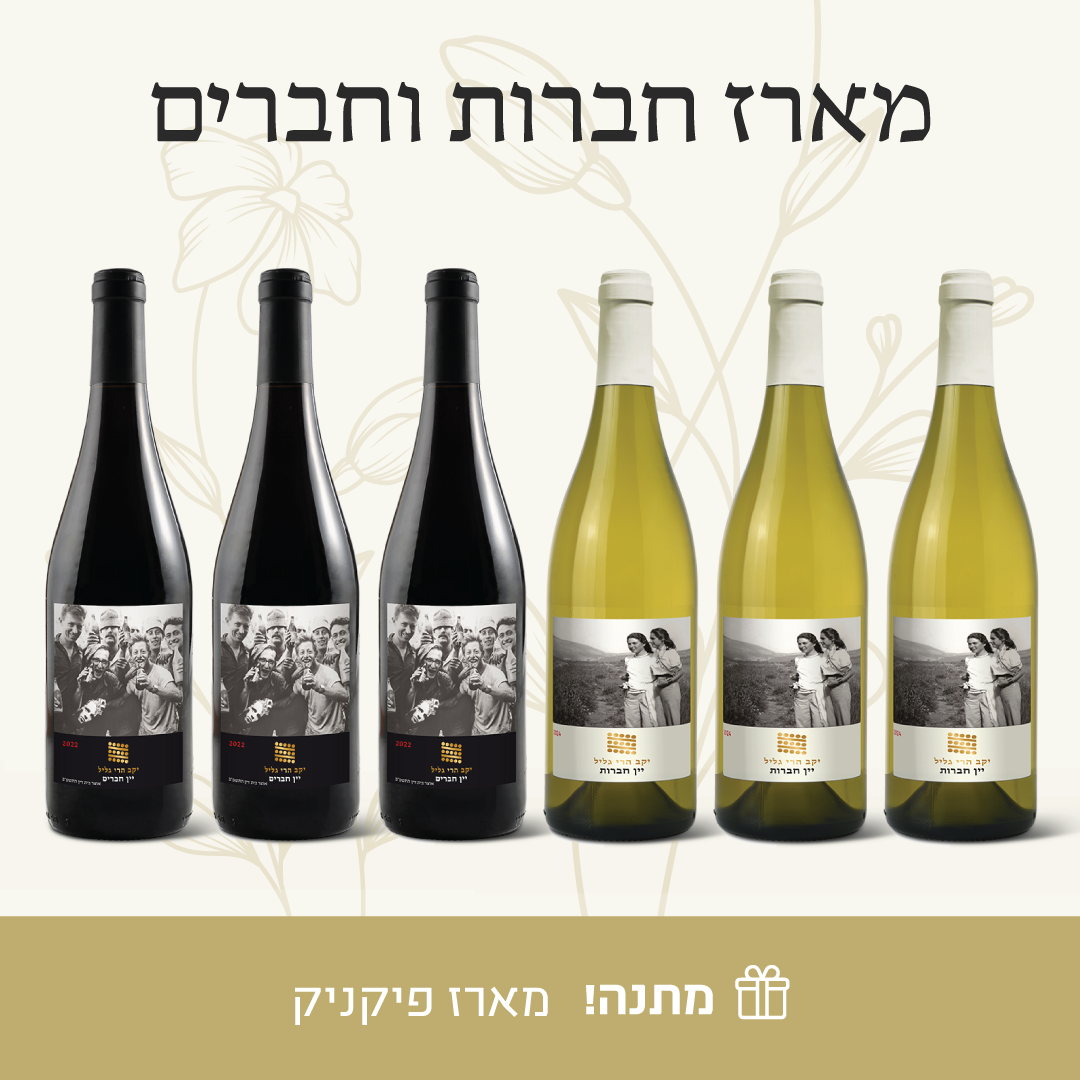 מארז חברים וחברות