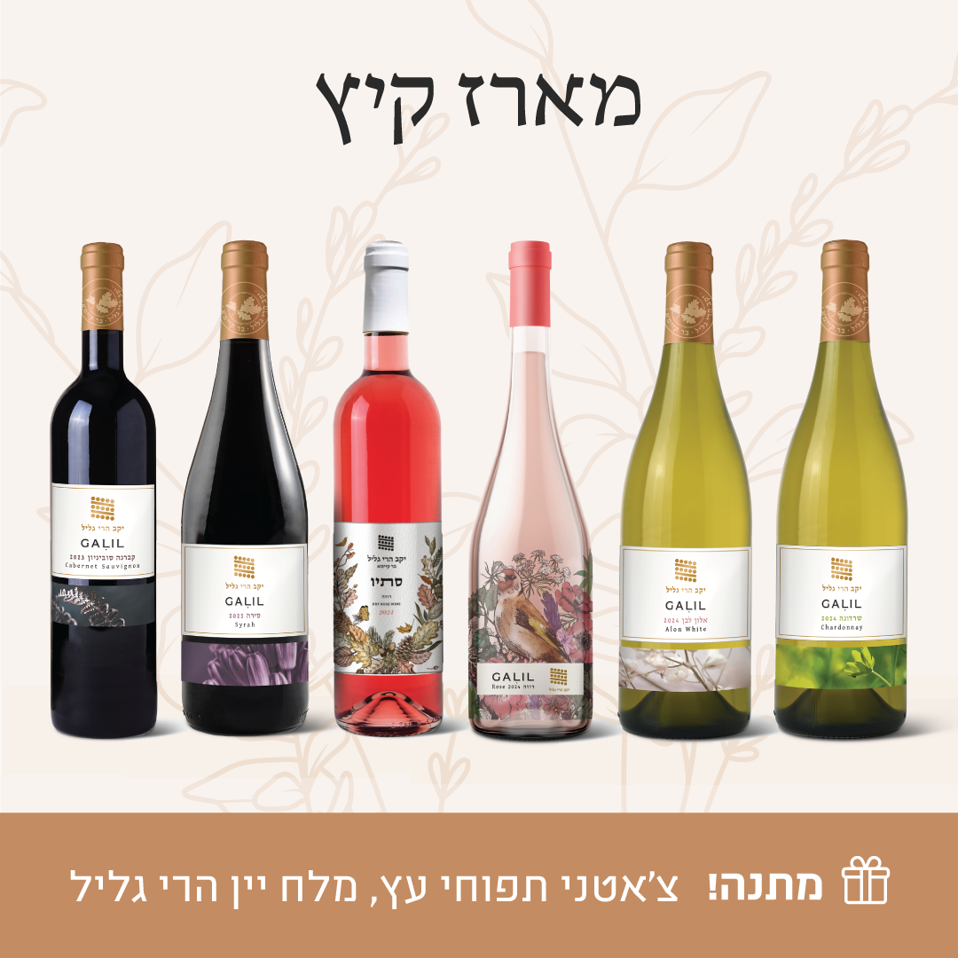 מארז קיץ