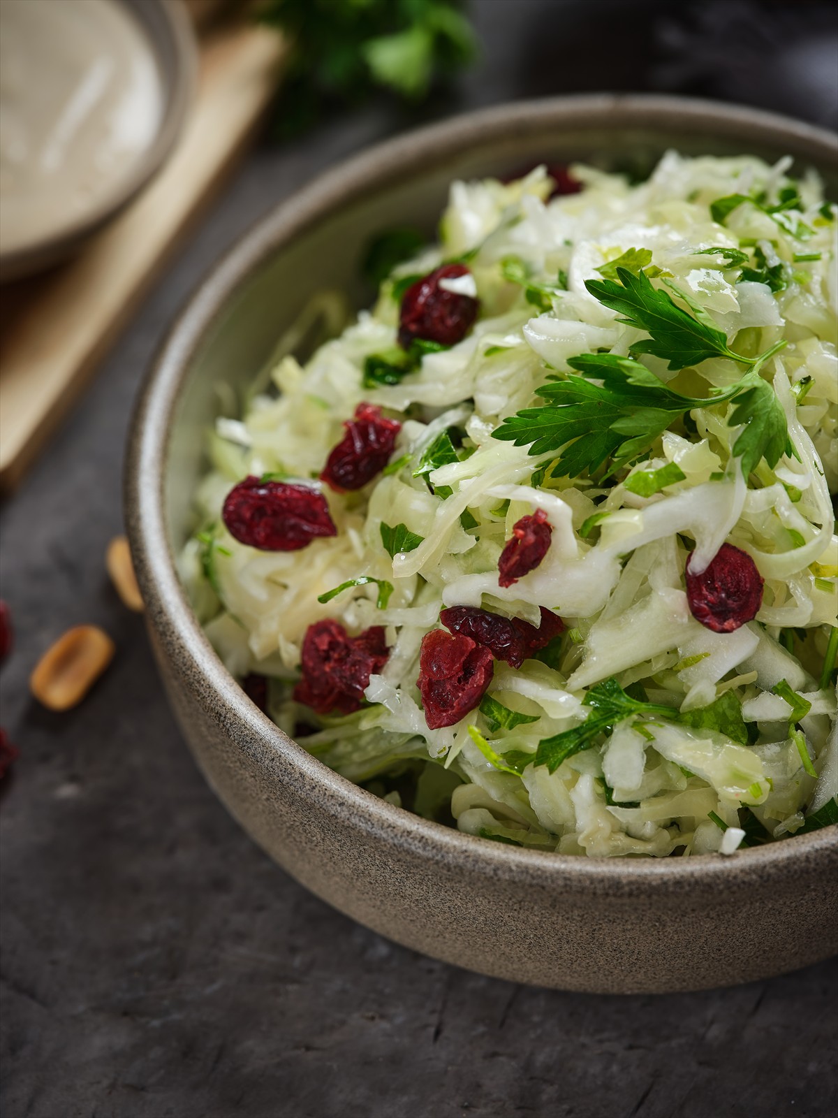 סלט כרוב חמוציות