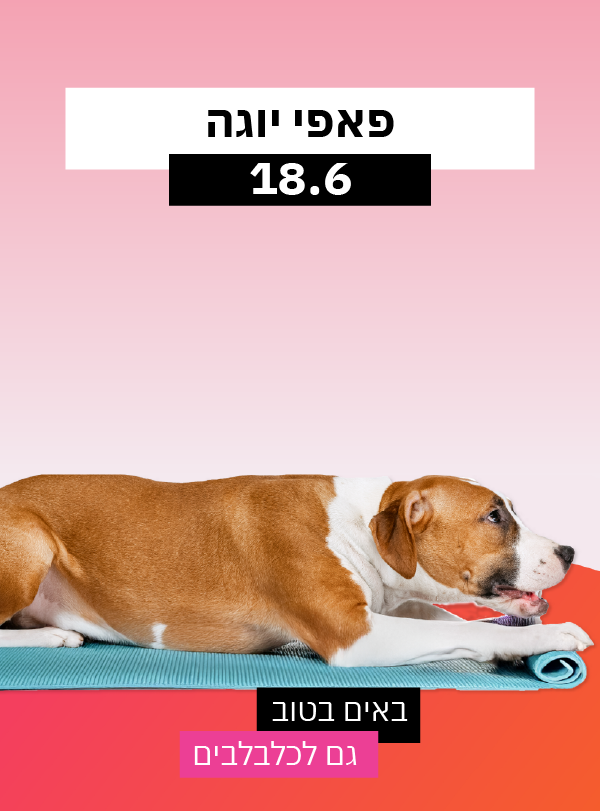 פאפי יוגה בסנטר!