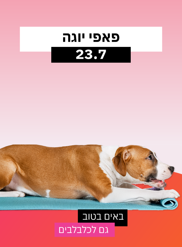 פאפי יוגה בסנטר!