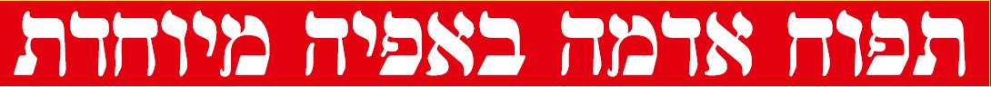 תפוח אדמה אפוי מוקרם