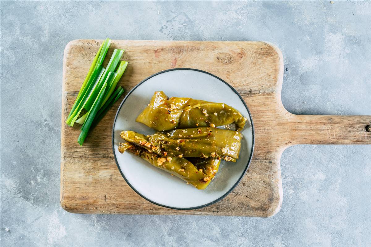 שיפקה אנטיפסטי