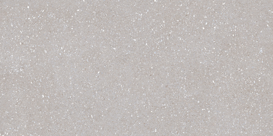 SILVER - SASSY