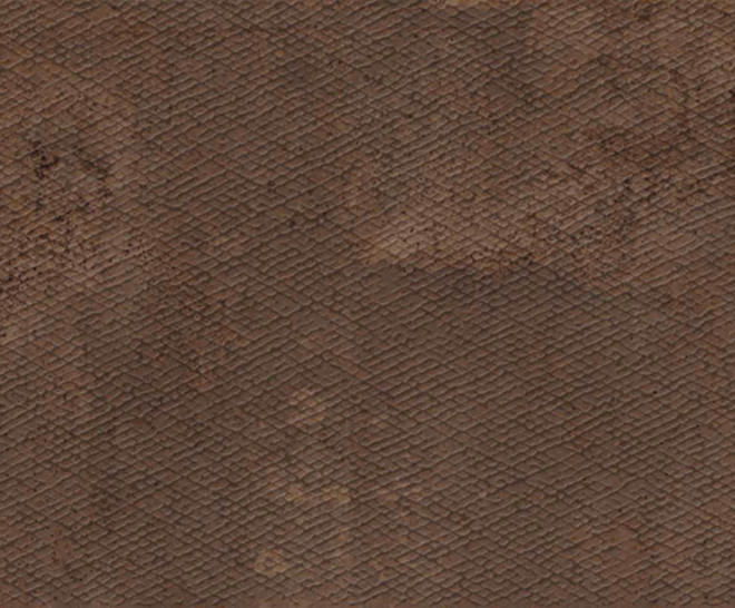 COPPER SKIN - ZINC