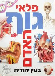 פלאי גוף האדם בעין יהודית