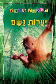 ראשית מידע- יערות גשם