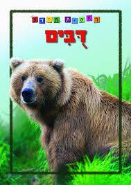 ראשית מידע - דובים - מהדורה מחודשת בפורמט גדול