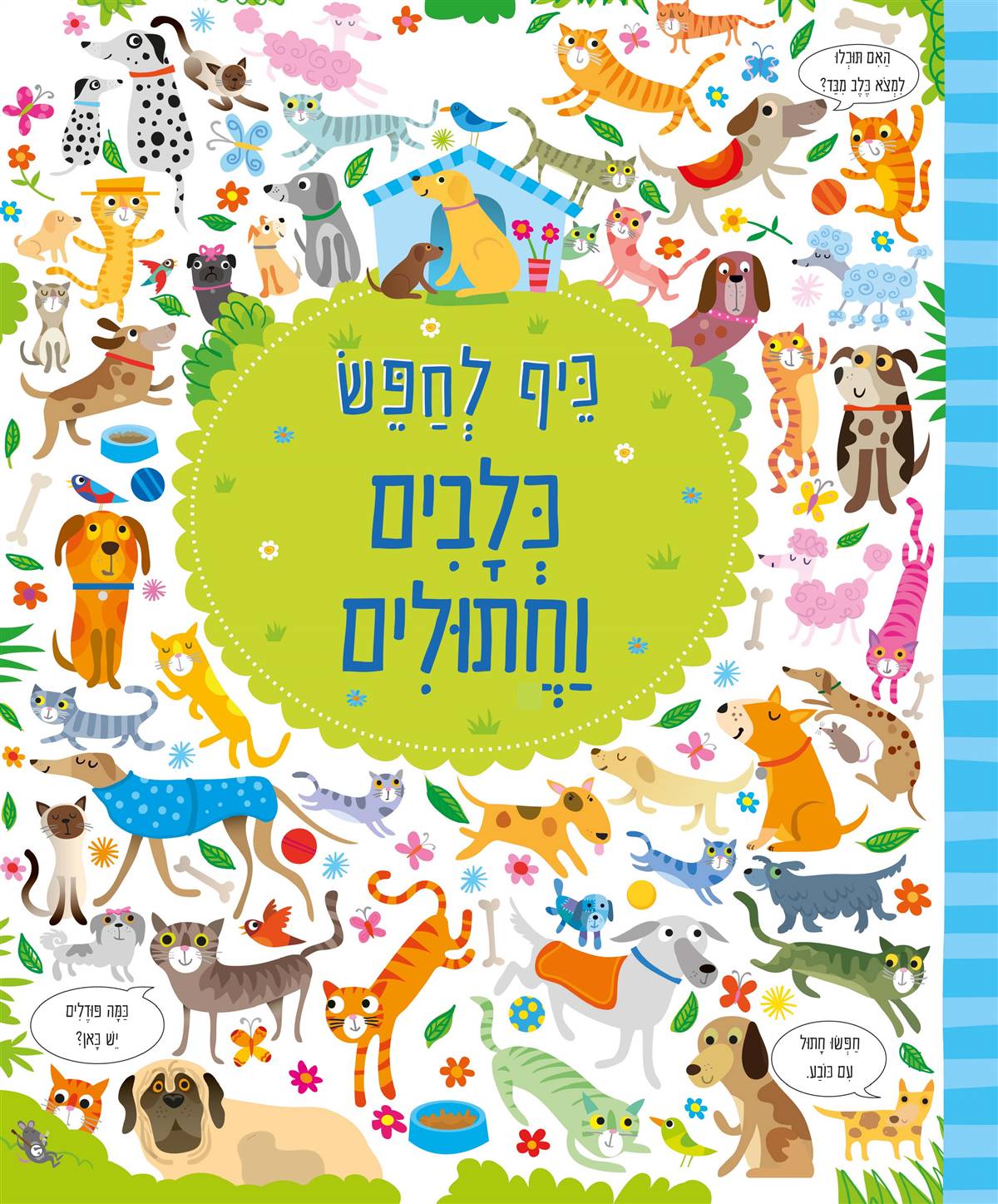 כיף לחפש - כלבים וחתולים