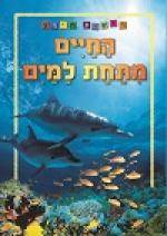 ראשית מידע - החיים מתחת למים
