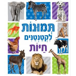 תמונות לקטנטנים - חיות