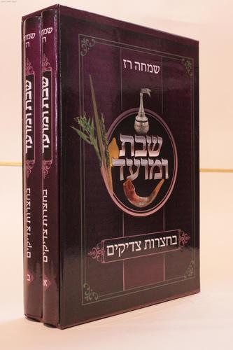 שבת ומועד בחצרות צדיקים (2 כרכים)