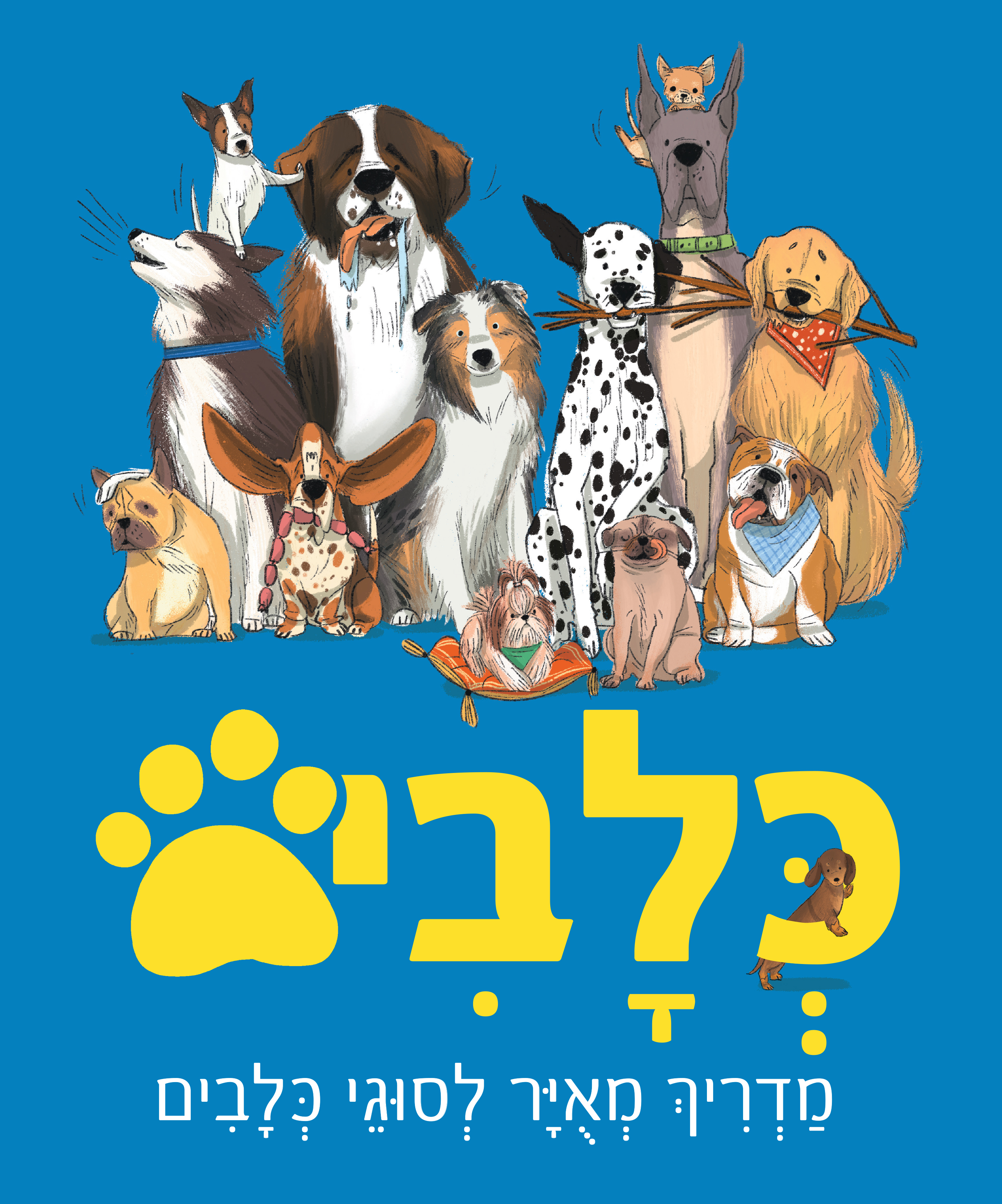 כלבים - מדריך מאויר לסוגי כלבים