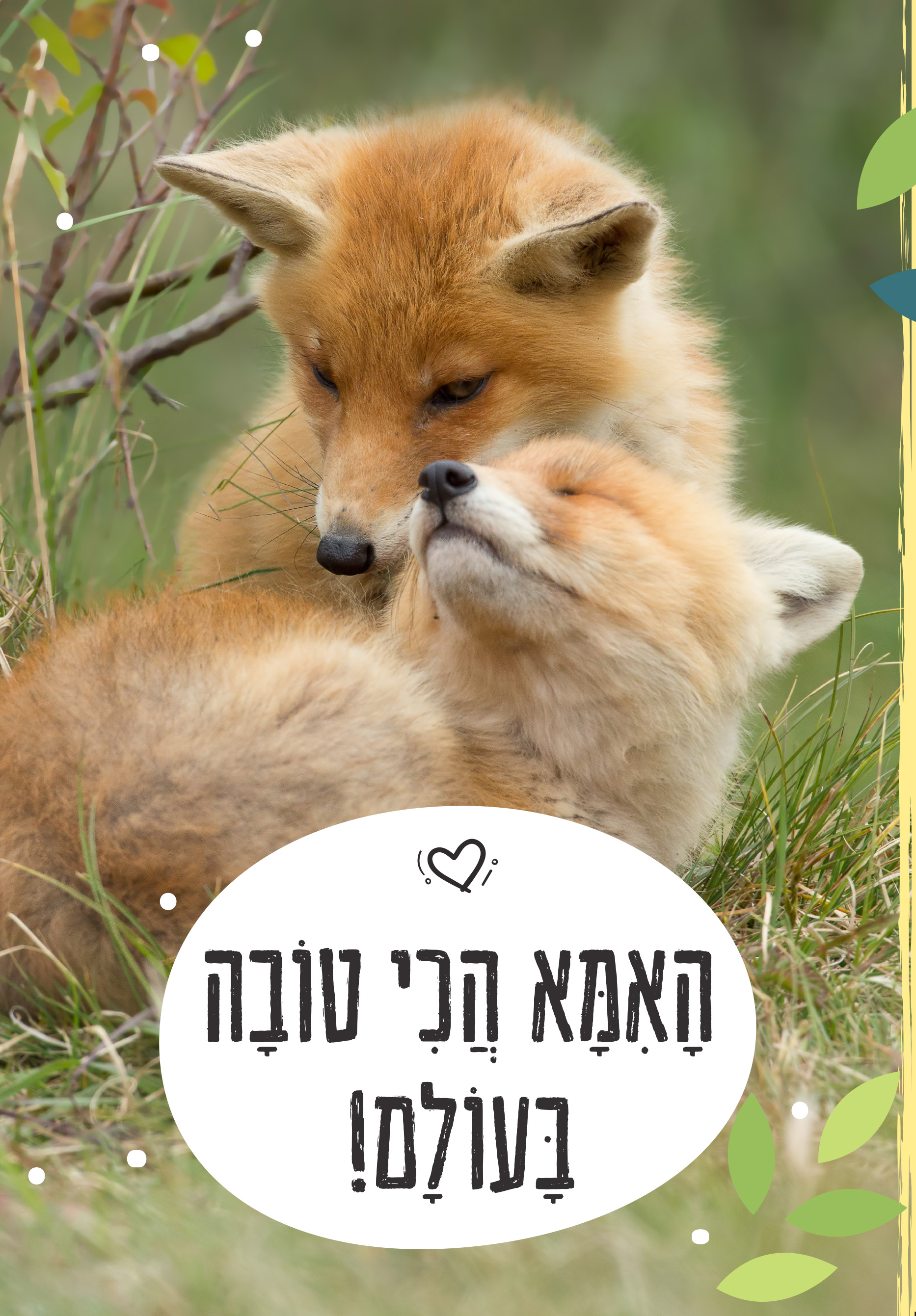 האמא הכי טובה בעולם (קרטון)