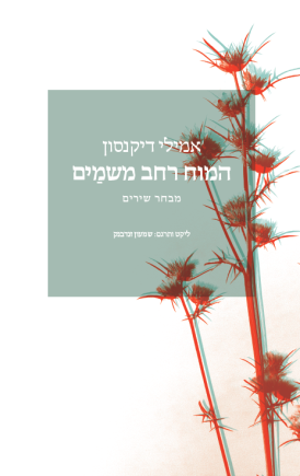 המוח רחב משמיים