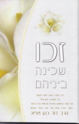 זכו שכינה ביניהם