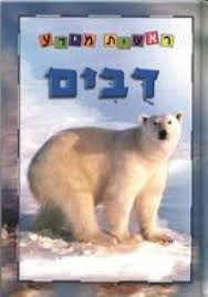 ראשית מידע דובים