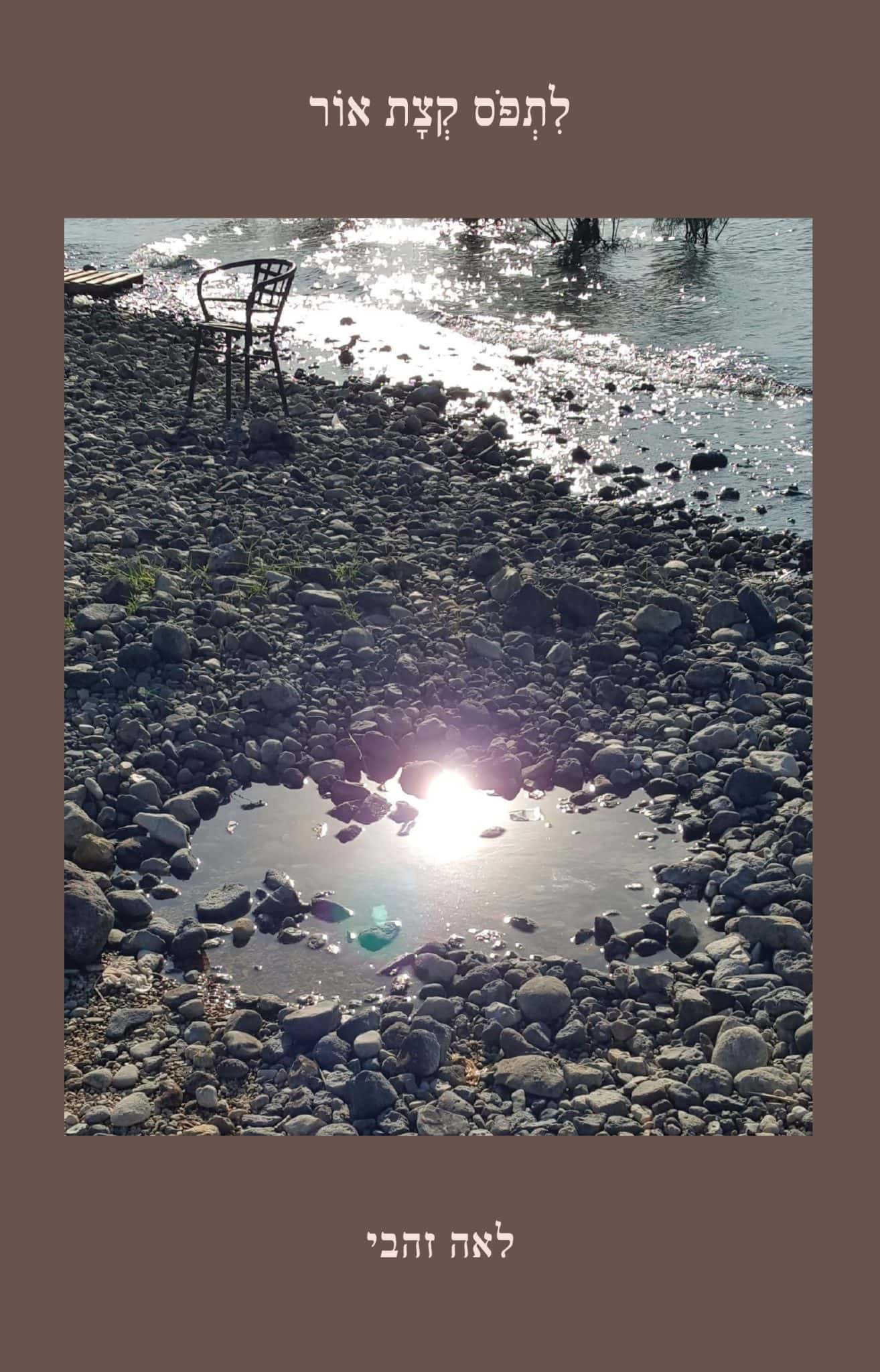 לתפוס קצת אור – שירים