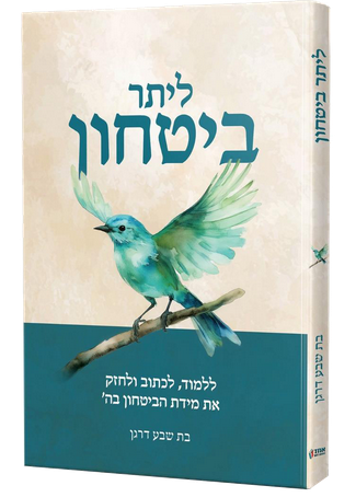 ליתר ביטחון