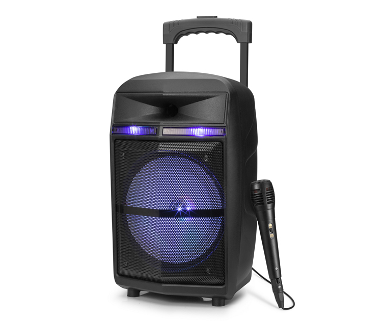 רמקול קריוקי נייד Bluetooth