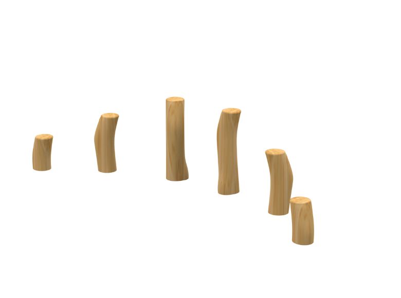 Robinia Stumps B