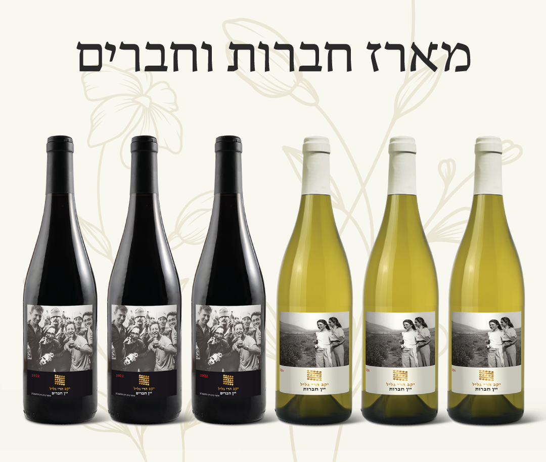מארז חברים וחברות