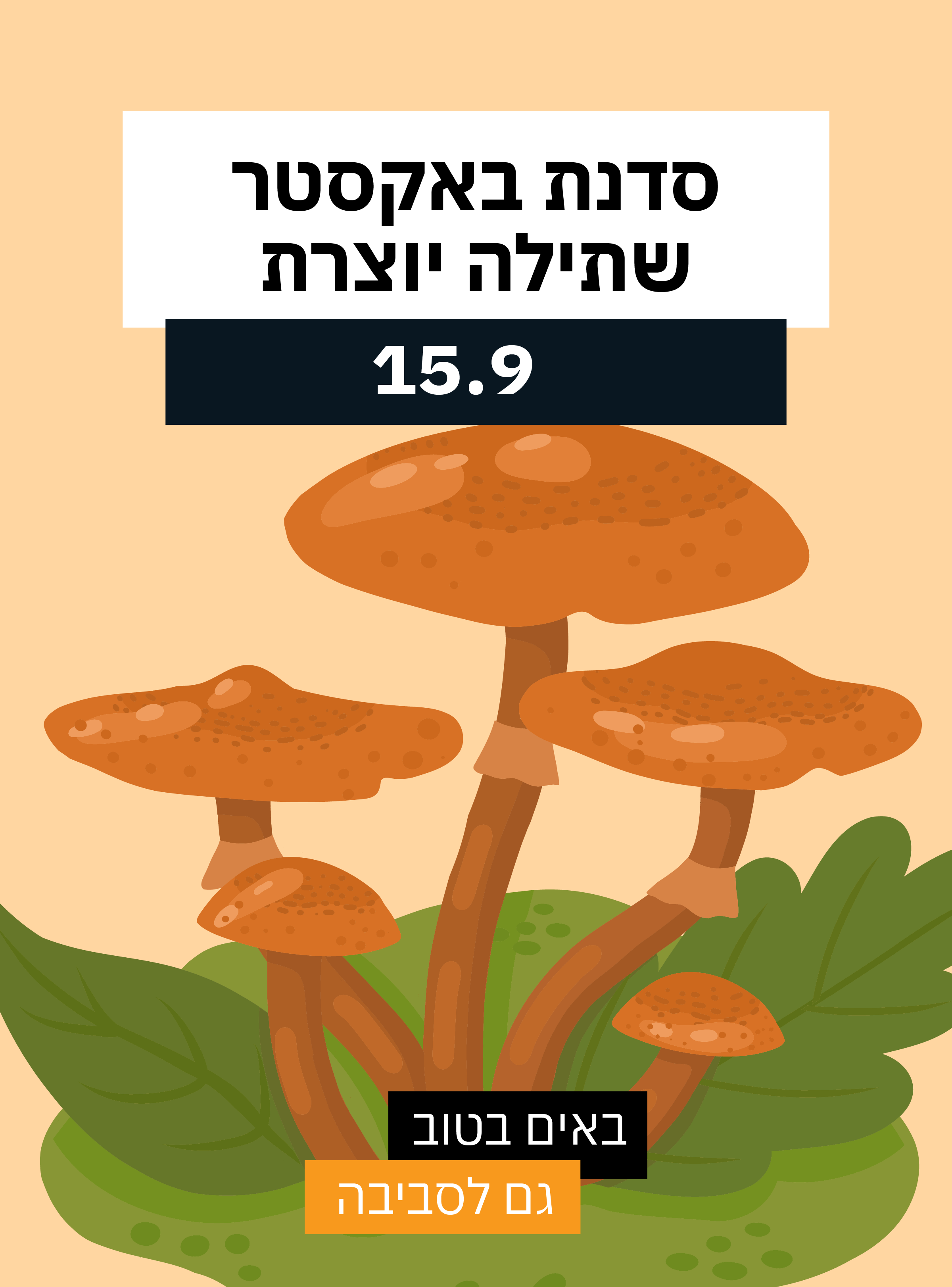 סדנת באקסטר שתילה יוצרת