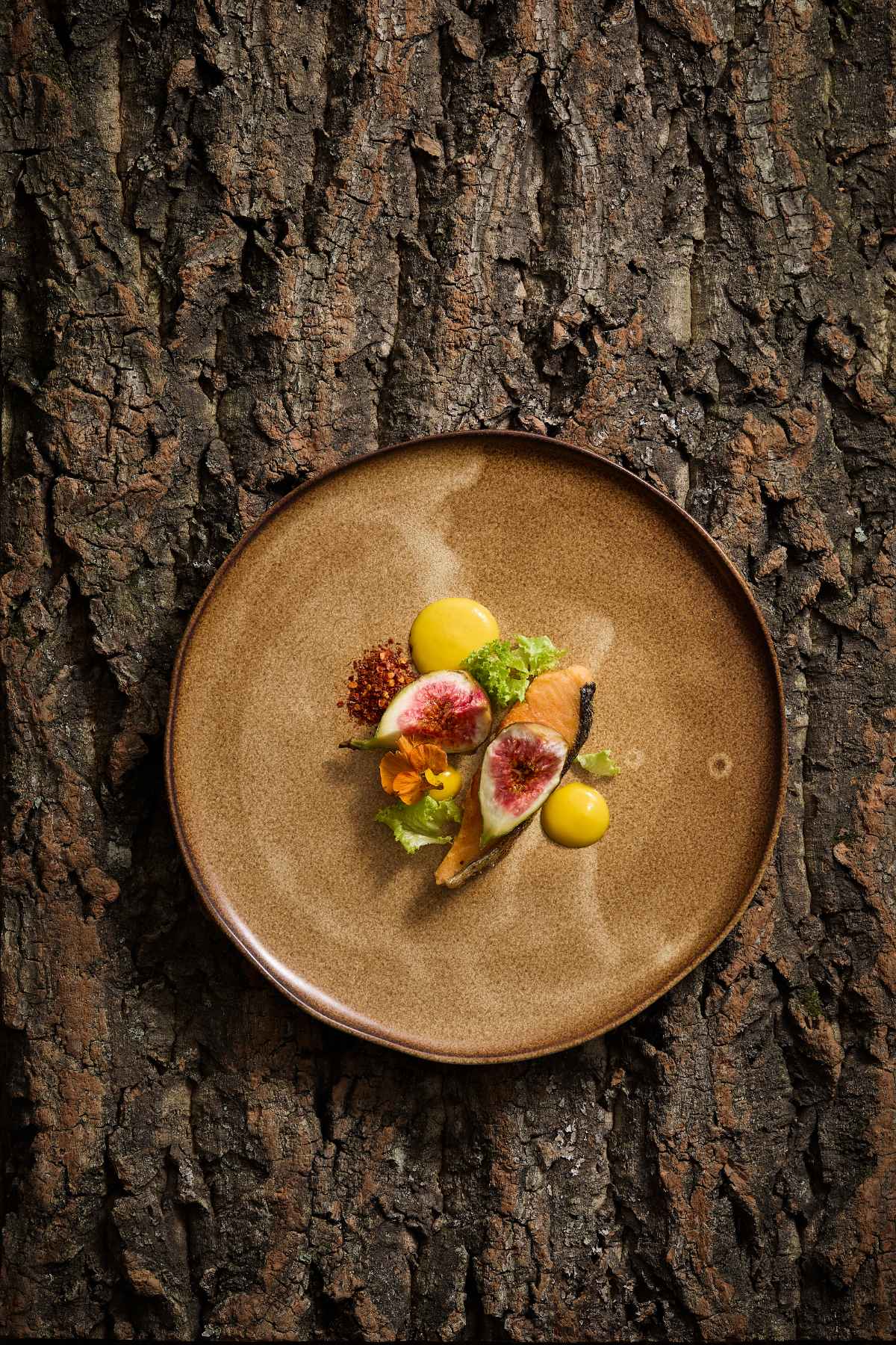 צלחת 16/20/23/27 ס"מ אסימטרי WoodFire