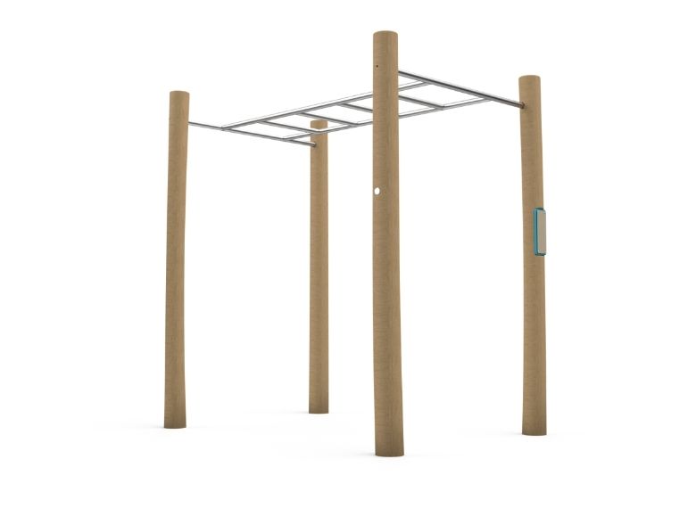 Robinia Monkey Bars