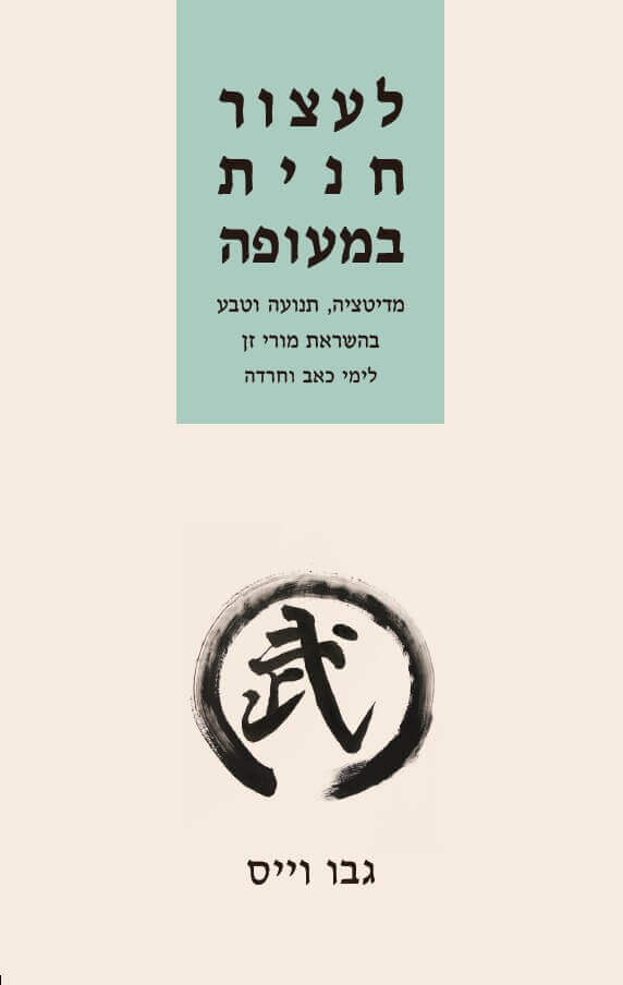 לעצור חנית במעופה