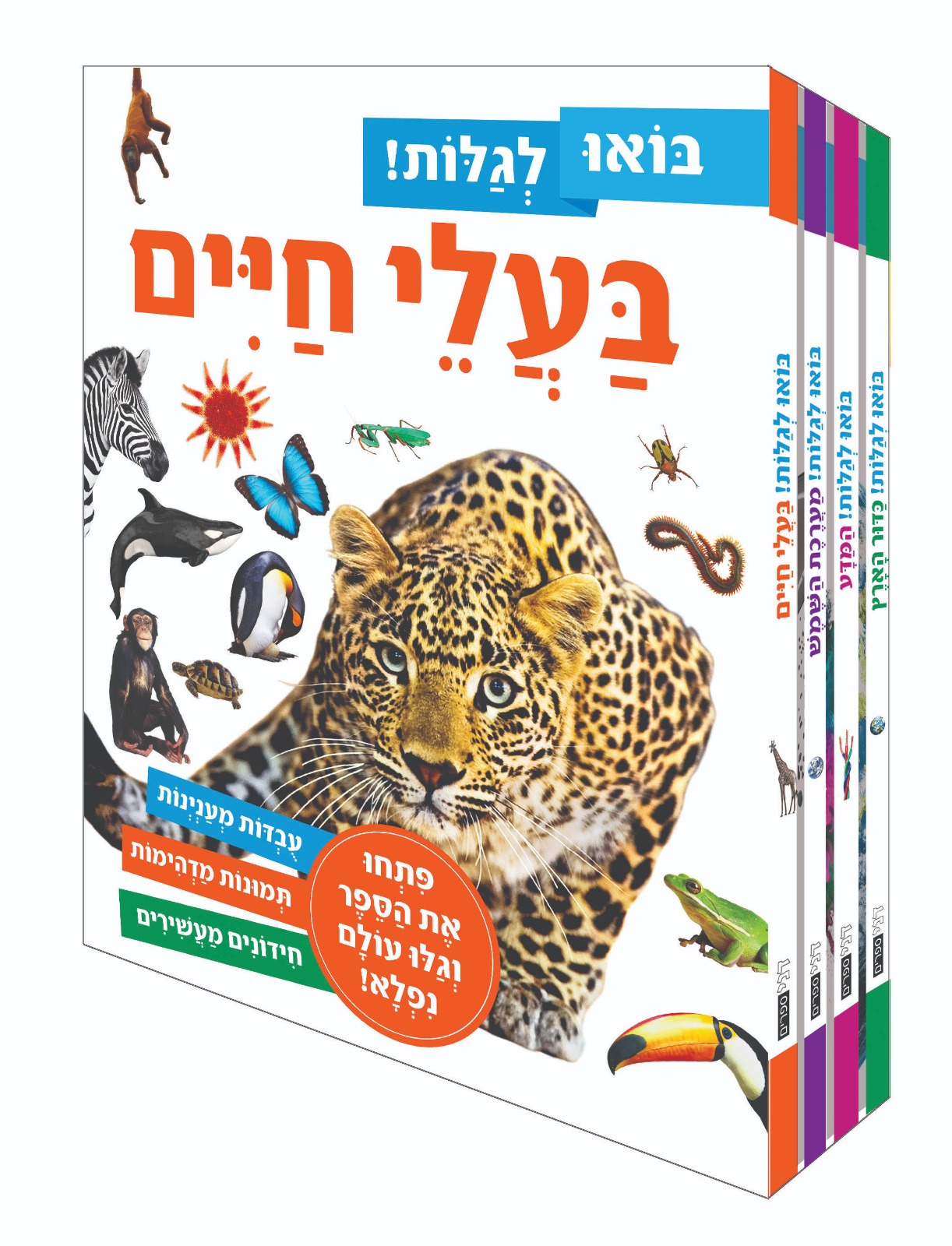 בואו לגלות - סט 4 כרכים בינוני