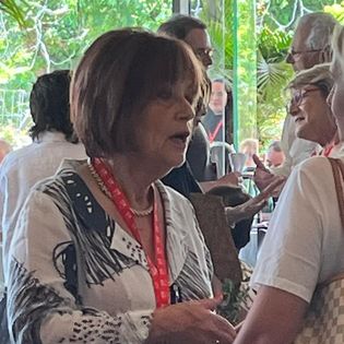 אירועים עסקיים, דיפלומטים וחברות -31