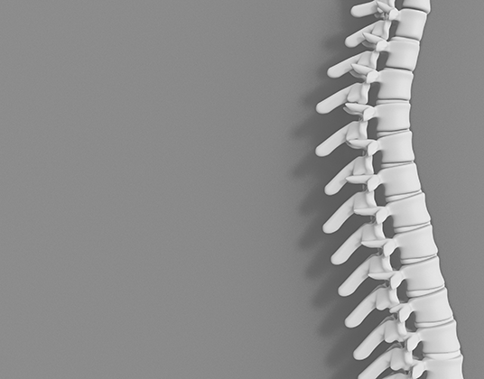 הכירופרקטים ממליצים-5