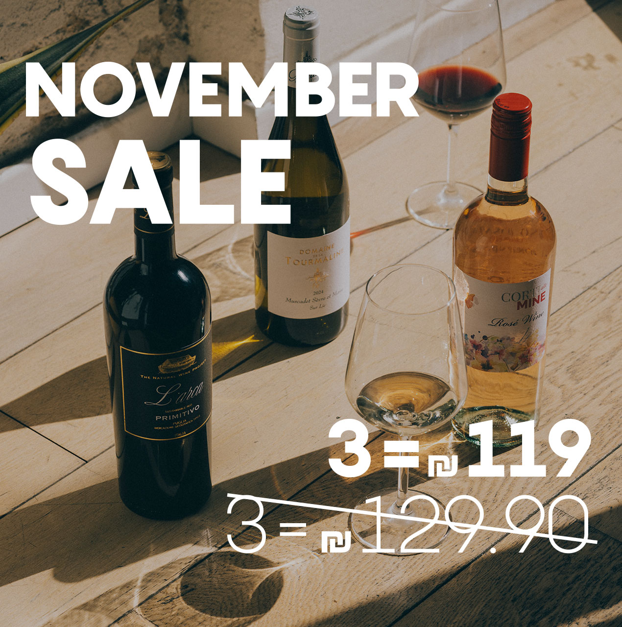 נובמבר סייל- 3 ב 119