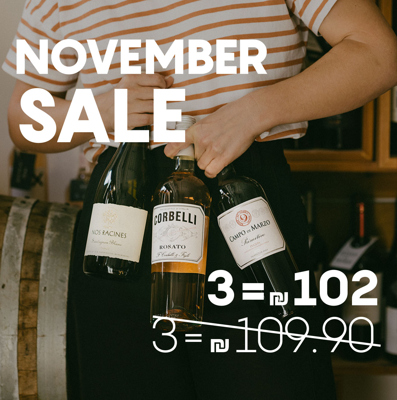 נובמבר סייל- 3 ב110 