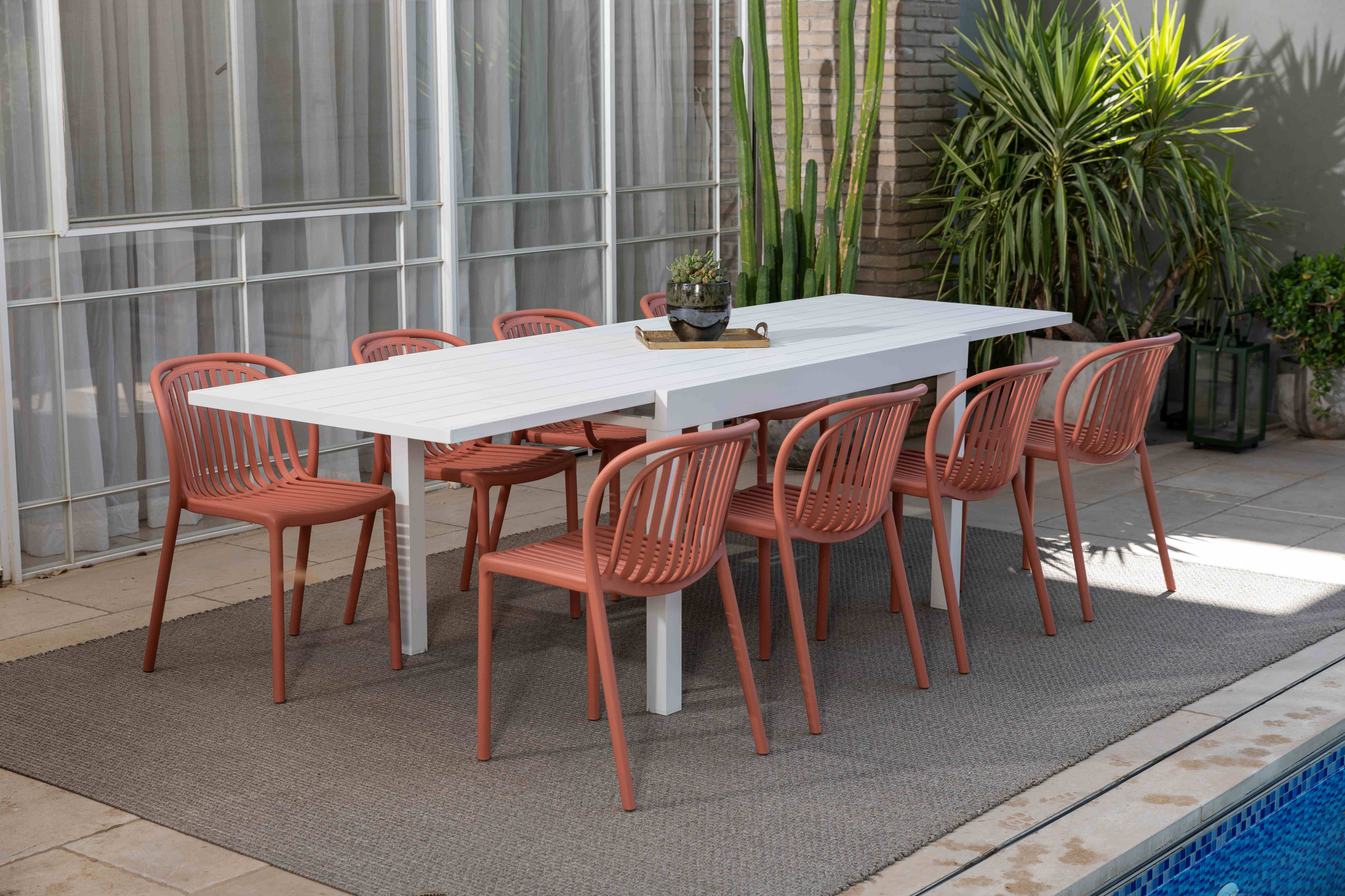 שיבס | שולחן נפתח + 8 כסאות נפטון